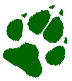 paw